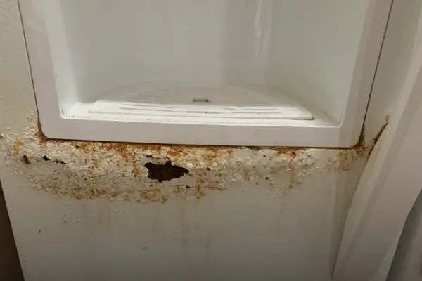 علت پوسیدگی درب یخچال چیست